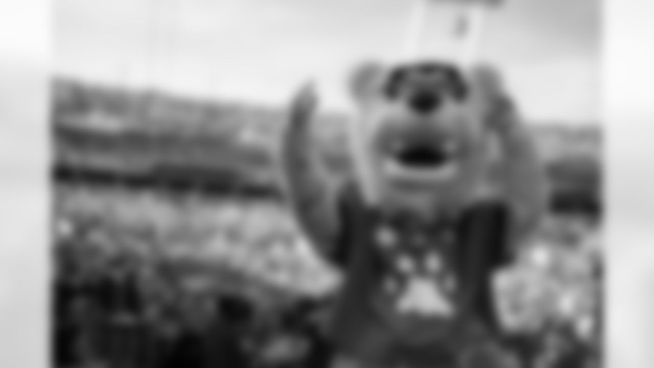 Jacksonville Jaguars vs Buffalo Bills