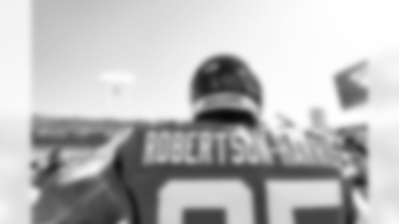 Jacksonville Jaguars vs. Carolina Panthers
DL Roy Robertson-Harris (95)