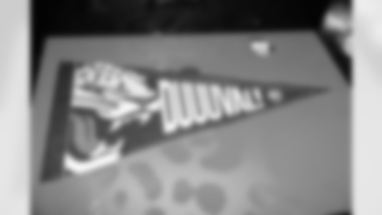 Jacksonville Jaguars STM Grab Gift_-11