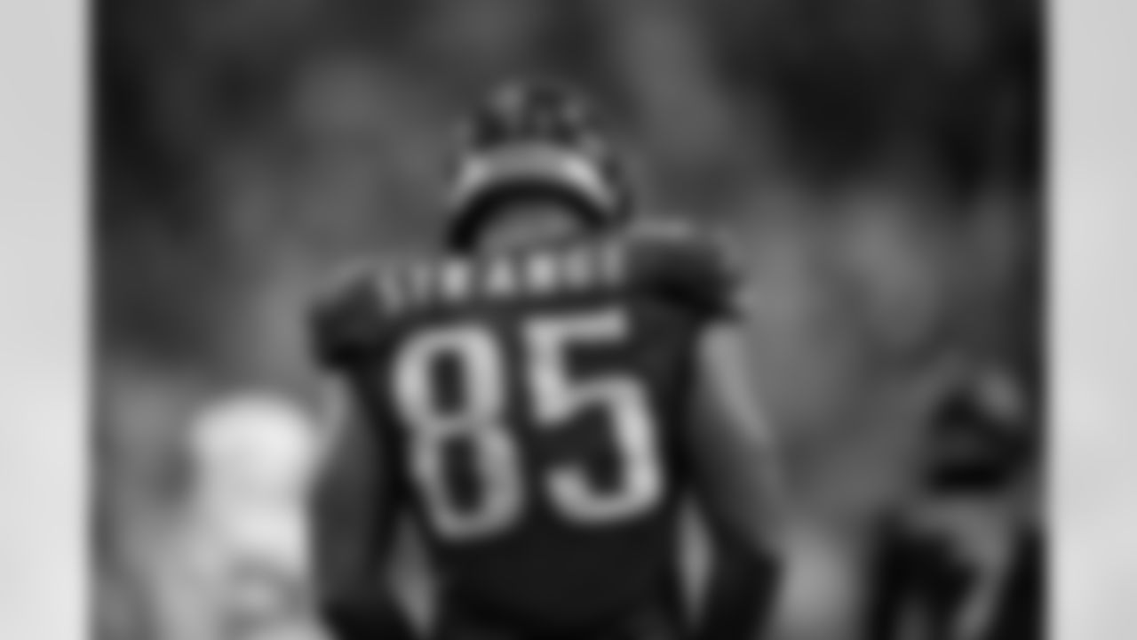 Jacksonville Jaguars vs Indianapolis Colts

TE Brenton Strange (85)