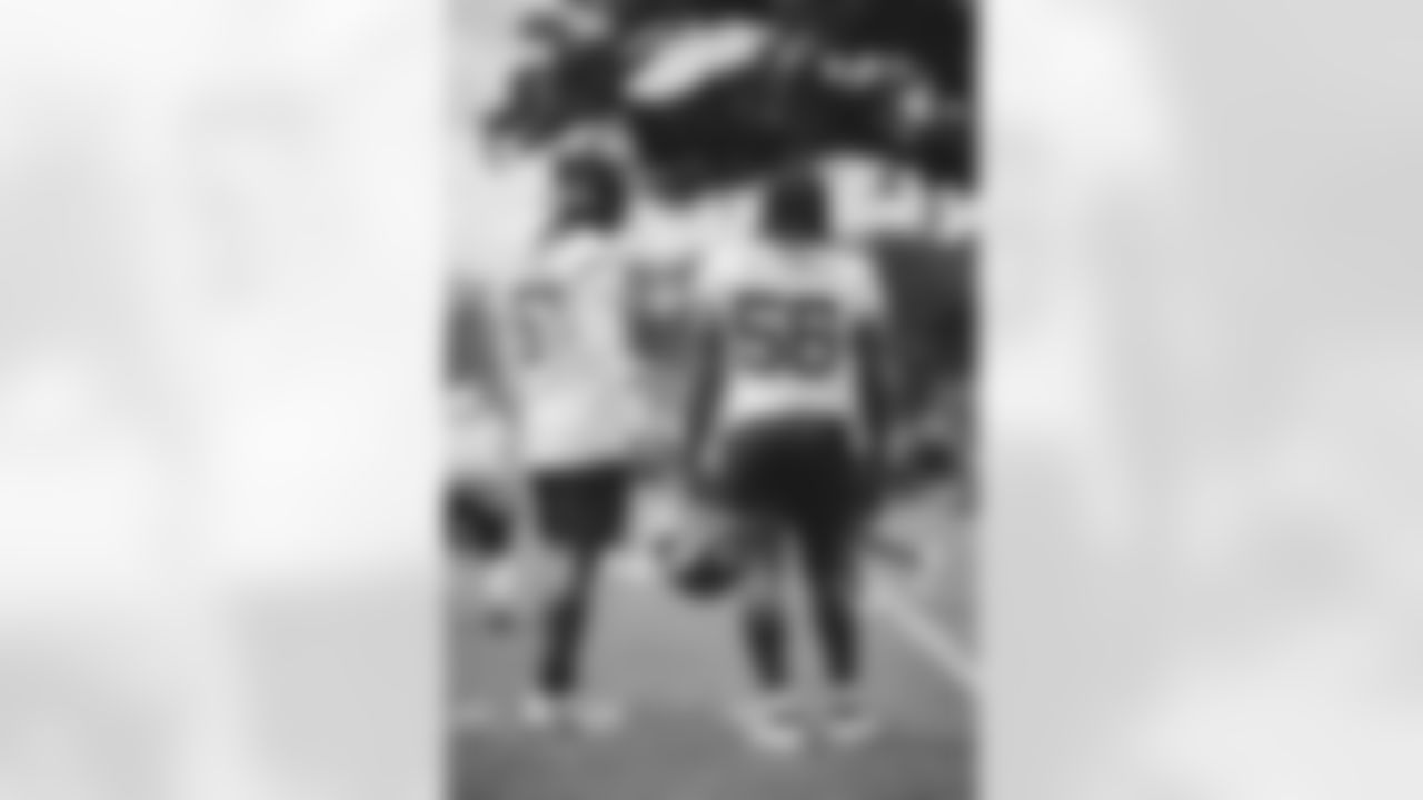 E_SS1_17560