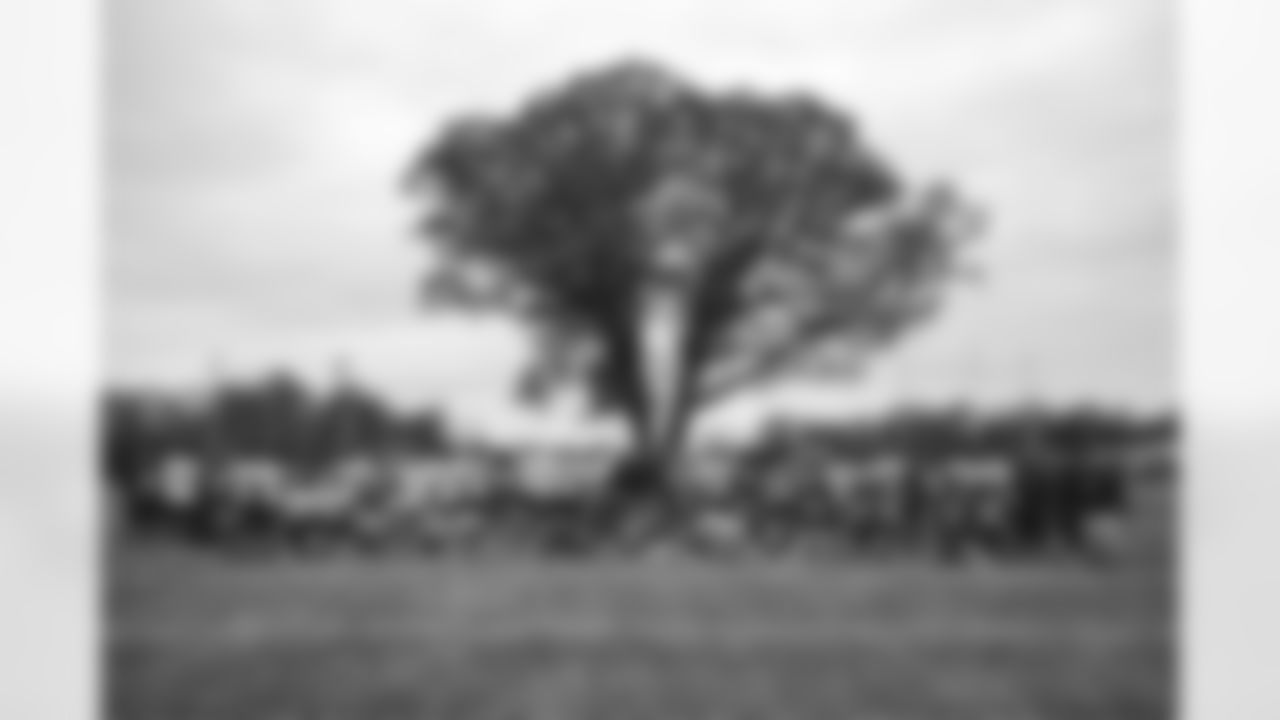 E_JB1_6707