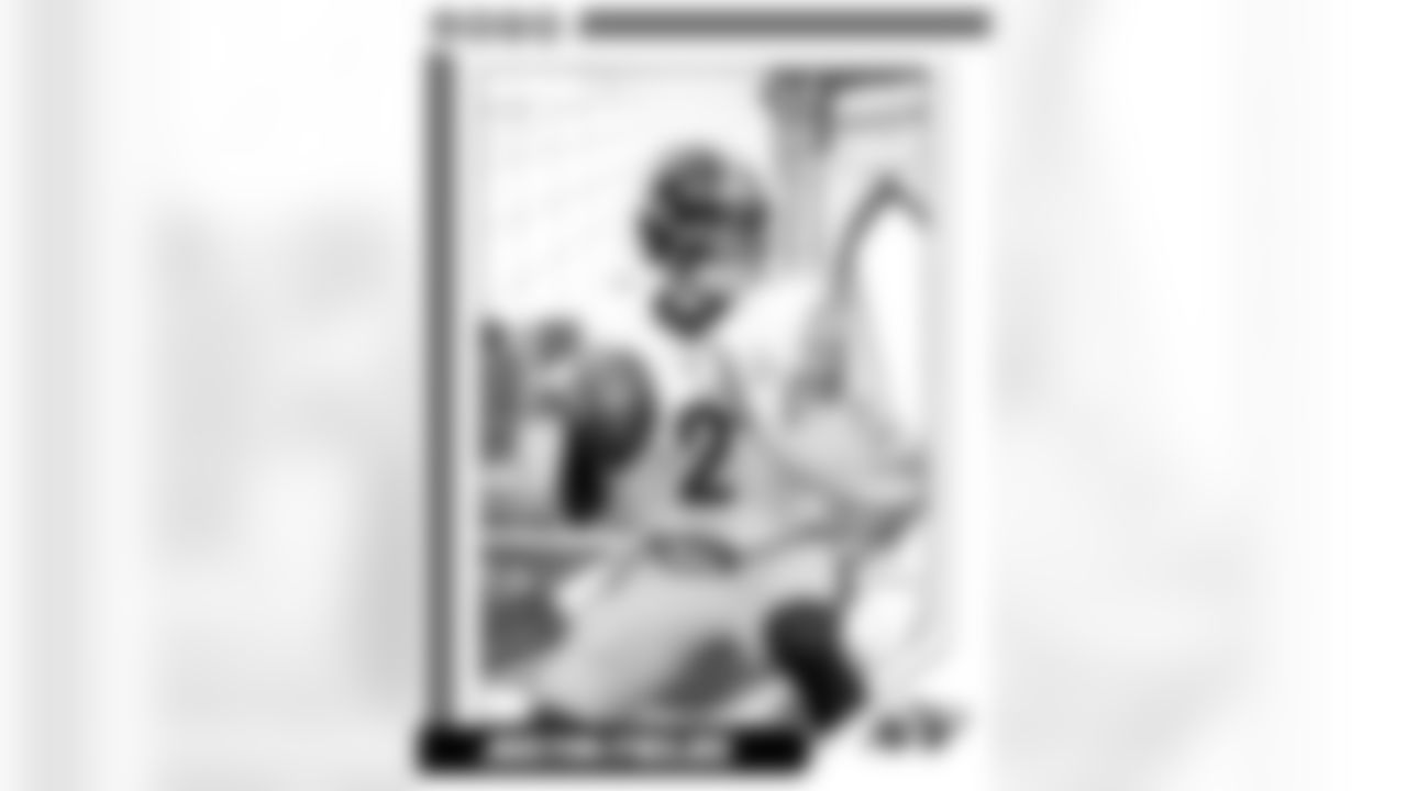 Fields Player Card