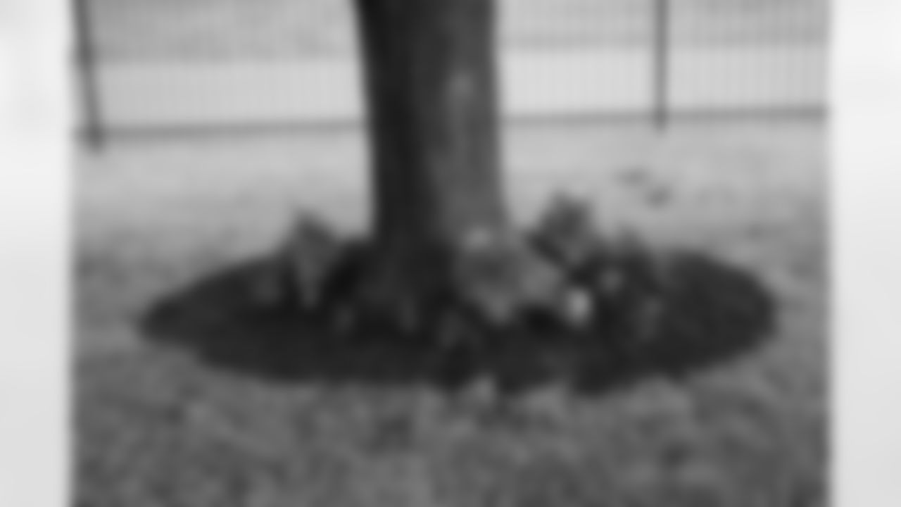 Flowers planted around a tree after a spring cleanup event at the Delray Community Center on June 10, 2025 in Detroit. (Mike Ferdinande/Detroit Lions)
