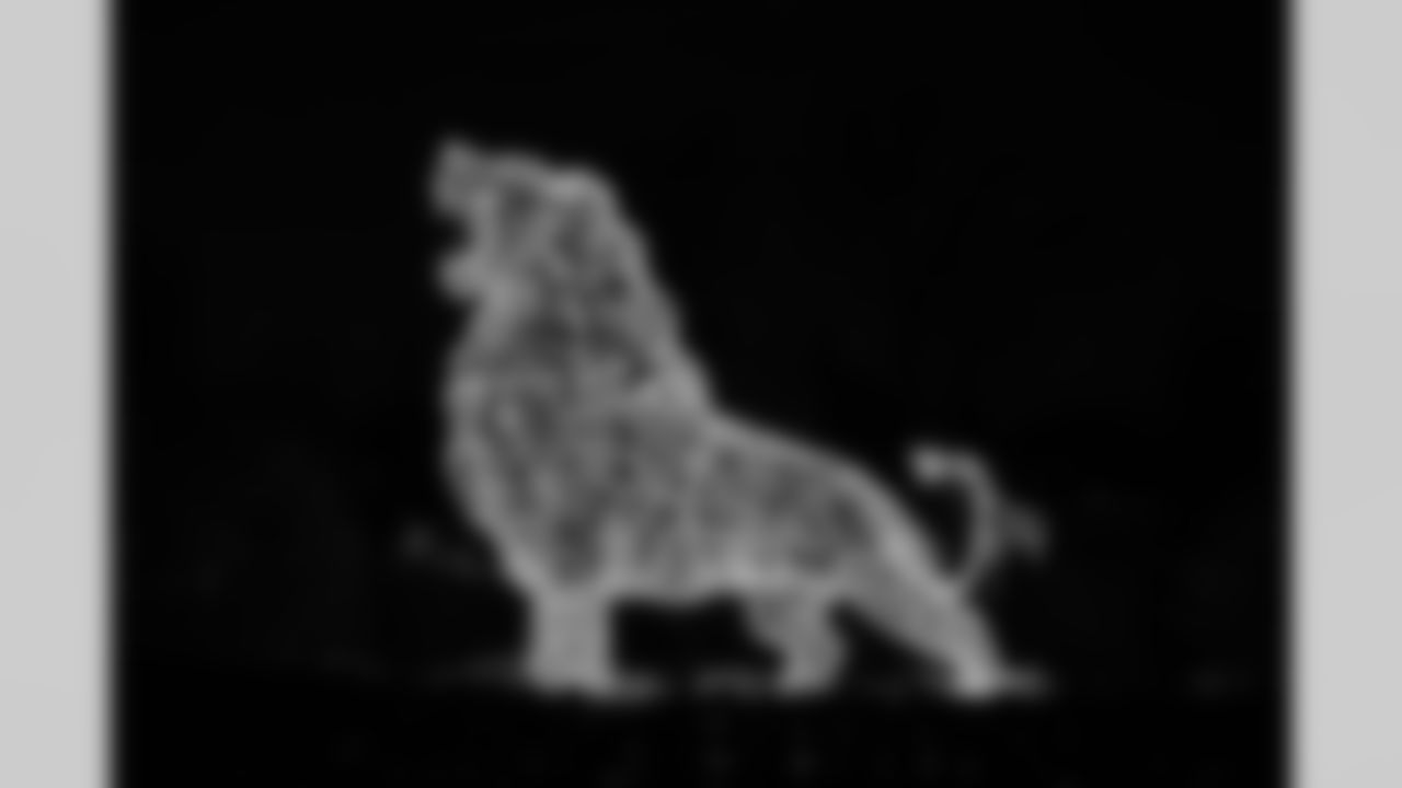 Zoo lights display during the Cub Club Wild Lights event at the Detroit Zoo on Dec. 10, 2025 in Royal Oak, Mich. (Stephanie VanWagoner/Detroit Lions)