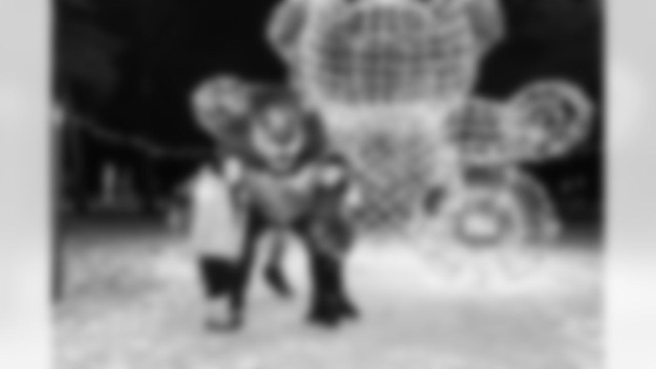 Detroit Lions Mascot Roary poses for a photo during the Cub Club Wild Lights event at the Detroit Zoo on Dec. 10, 2025 in Royal Oak, Mich. (Stephanie VanWagoner/Detroit Lions)