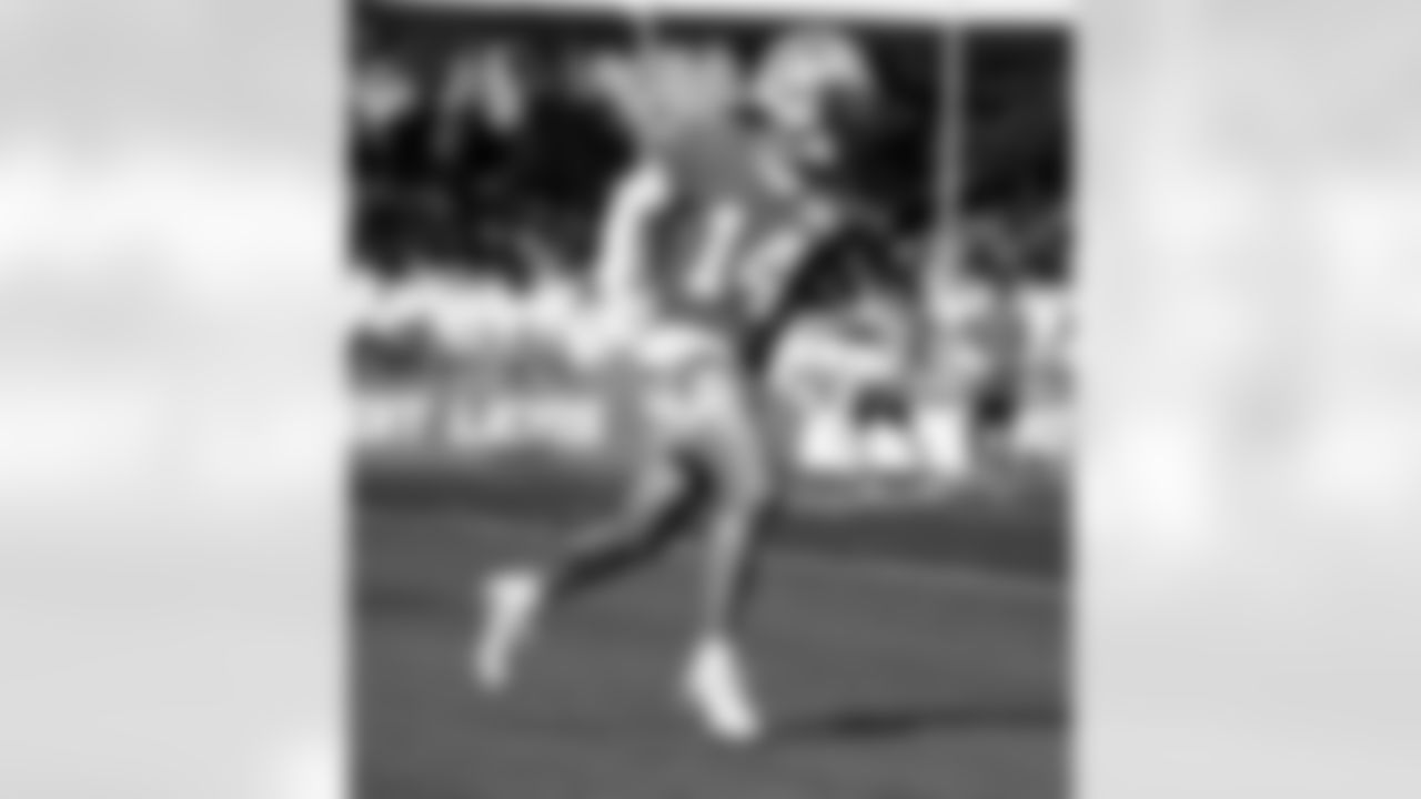 Detroit Lions wide receiver Amon-Ra St. Brown (14) during training camp at the Meijer Performance Center on July 28, 2025 in Allen Park, Mich. (Jeff Nguyen/Detroit Lions)