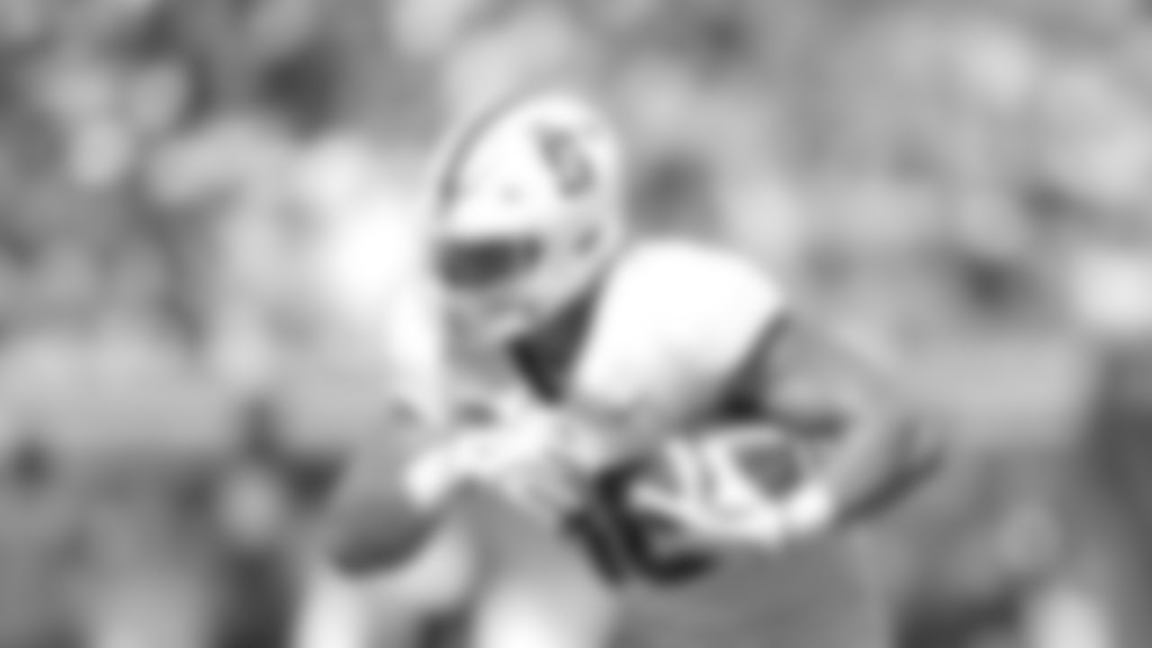 Stanford TE Sam Roush (86)