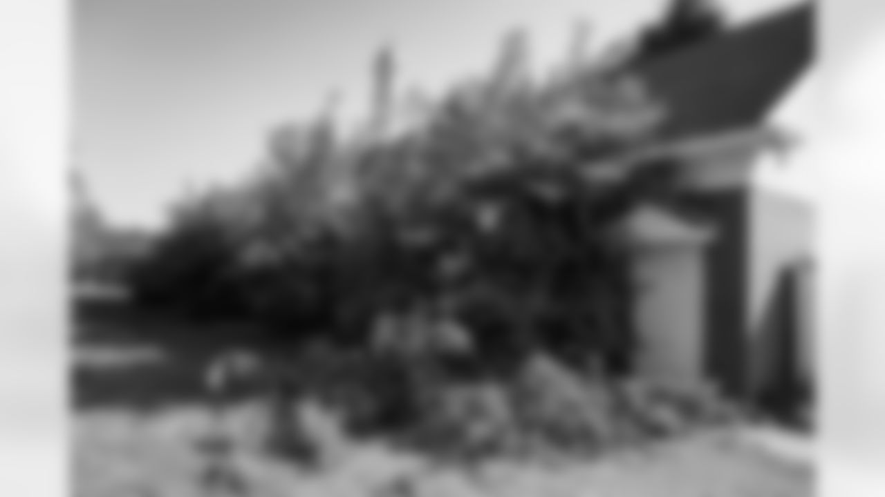 Overgrown trees around the building before cleanup begins during a spring cleanup event at the Delray Community Center on June 10, 2025 in Detroit. (Mike Ferdinande/Detroit Lions)