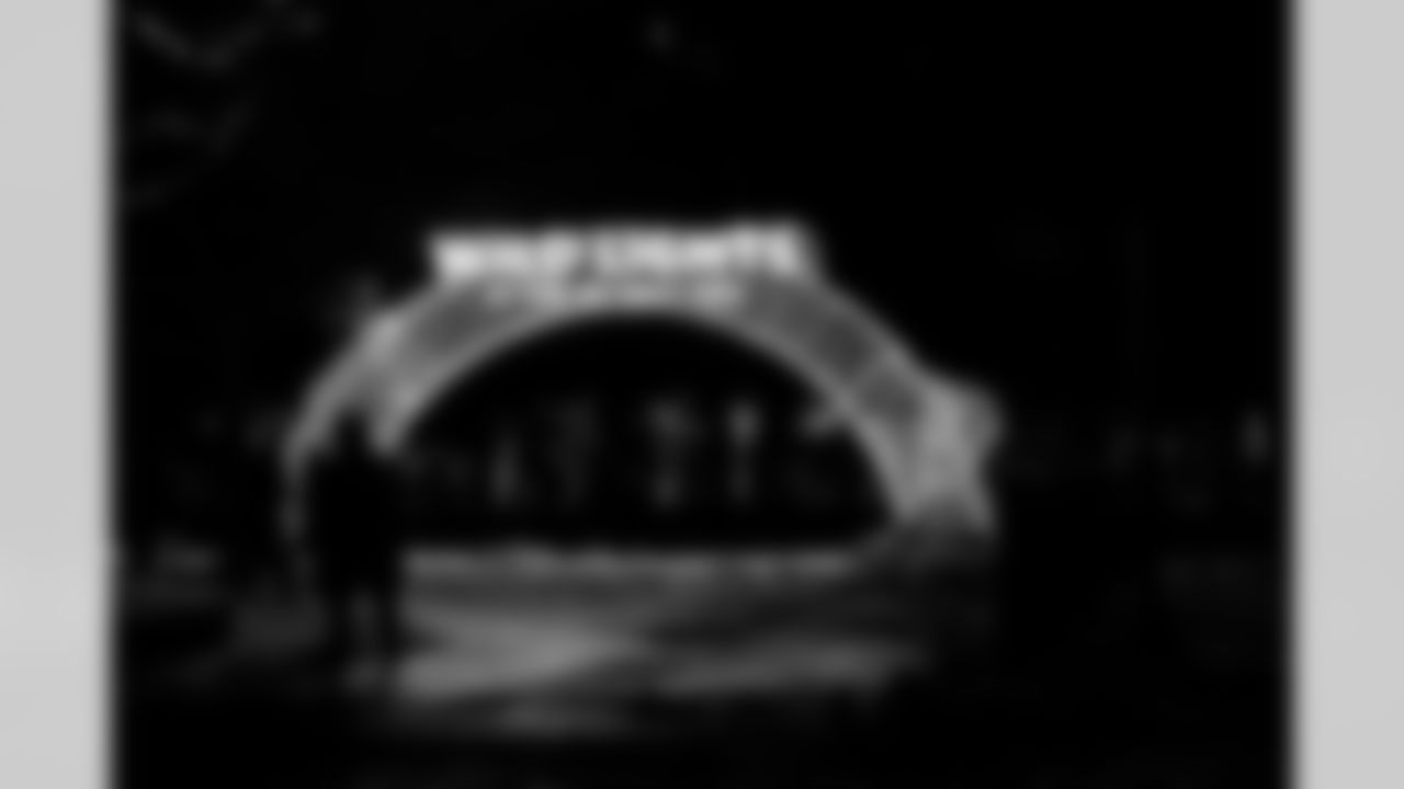 Light display during the Cub Club Wild Lights event at the Detroit Zoo on Dec. 10, 2025 in Royal Oak, Mich. (Stephanie VanWagoner/Detroit Lions)