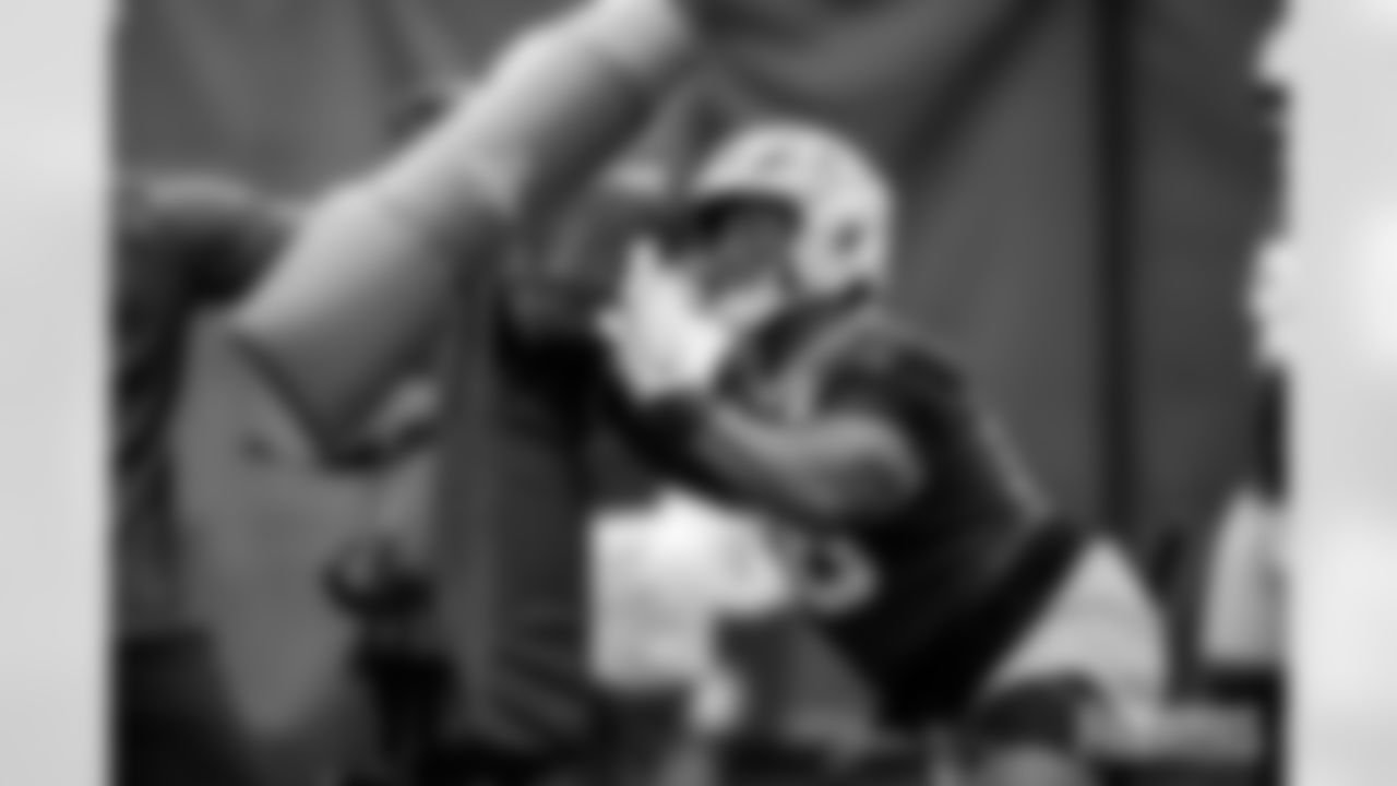 DL James Ester