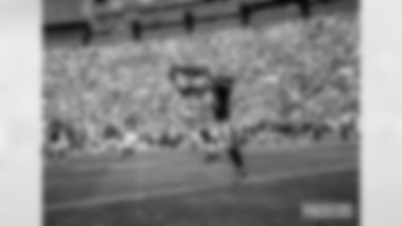 packers-ravens-game-A-ES-161