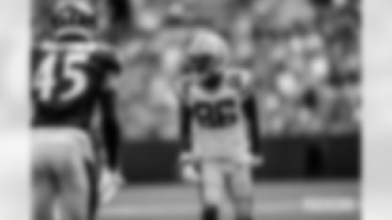 packers-ravens-game-A-ES-186