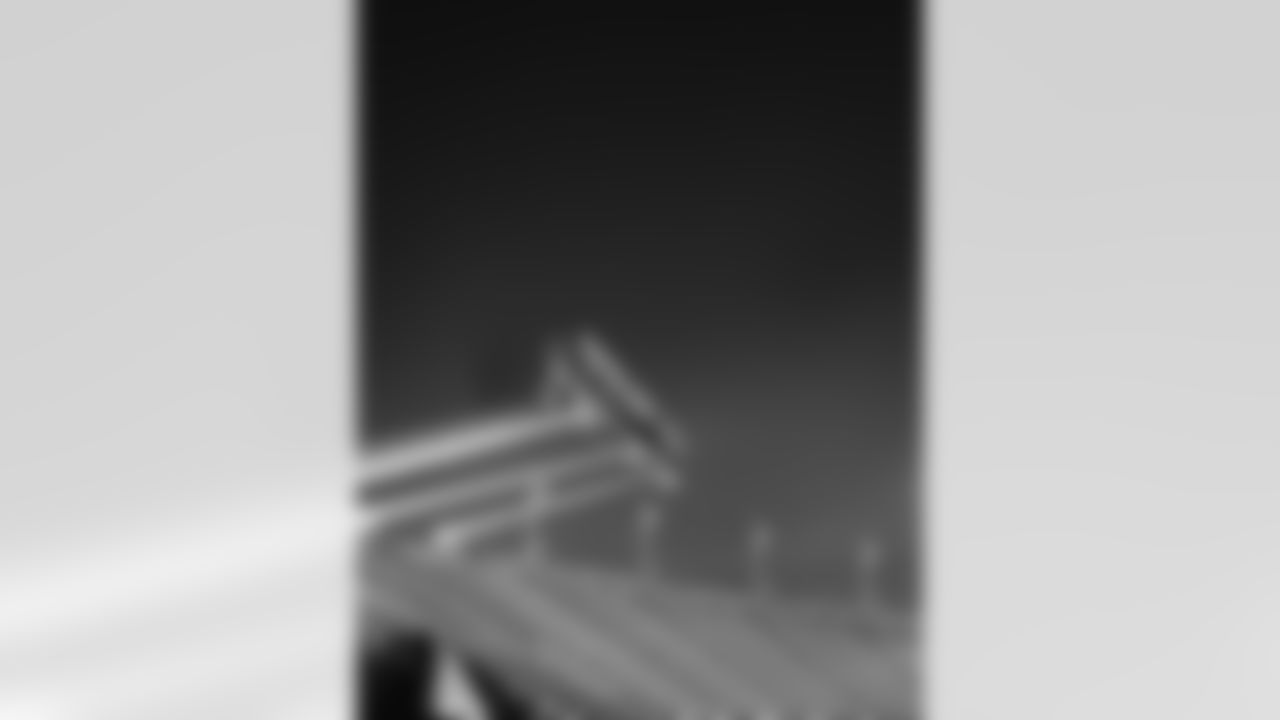 The Northern Lights are seen above Bank of America Stadium on Tuesday, Nov. 11, 2025  in Charlotte, NC.