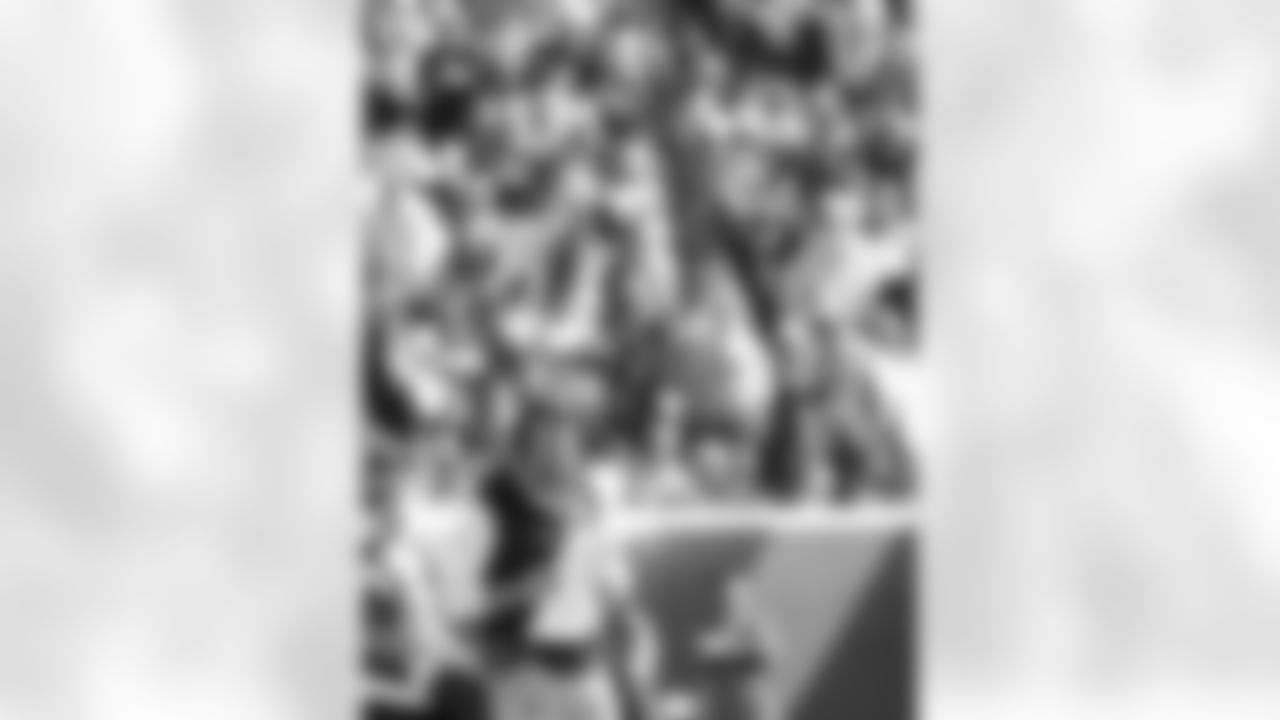 Mike Vrabel. Photo by Eric J. Adler