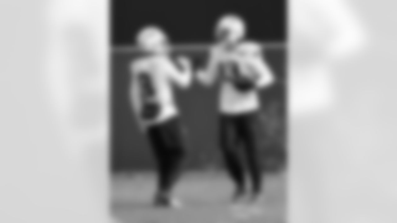 Stefon Diggs and Mack Hollins