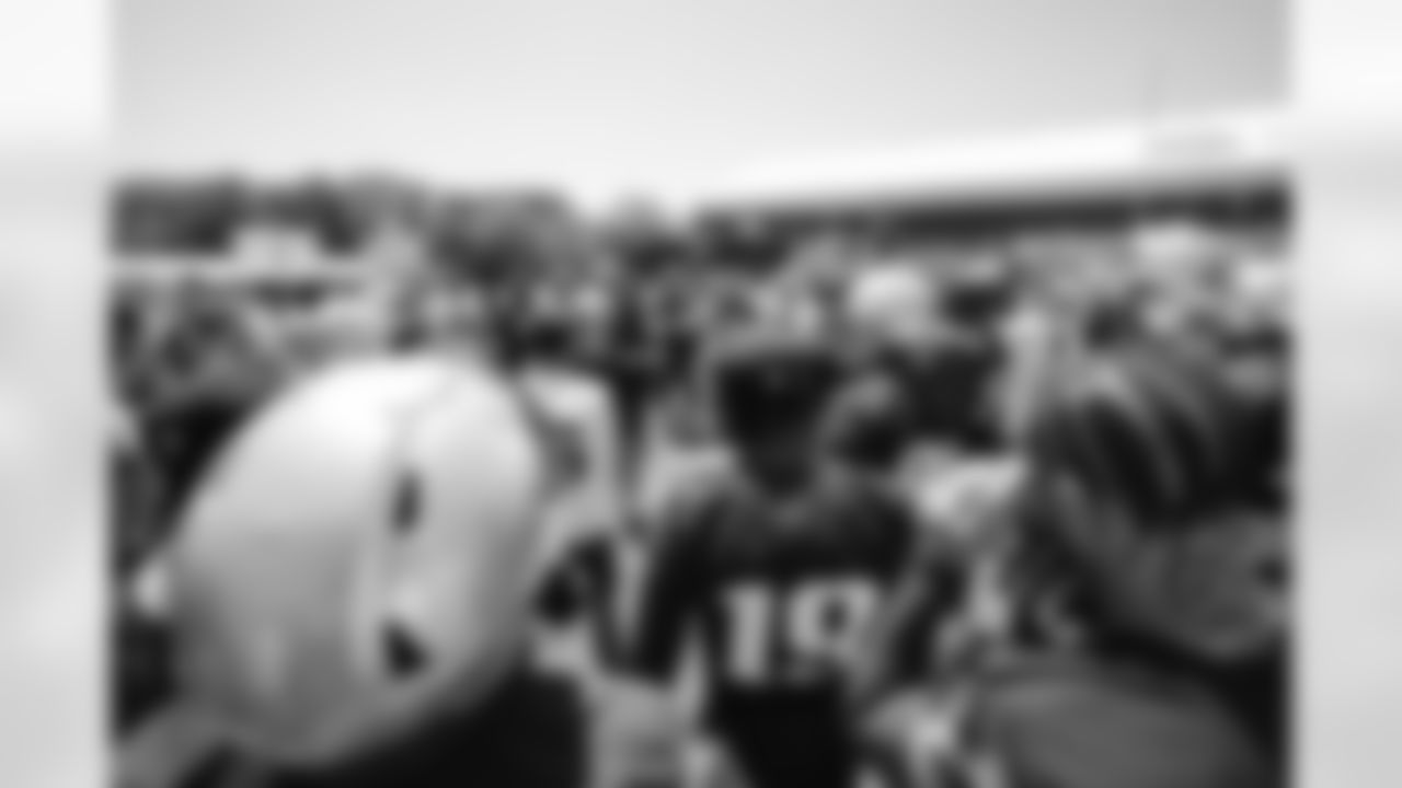 Mike Vrabel