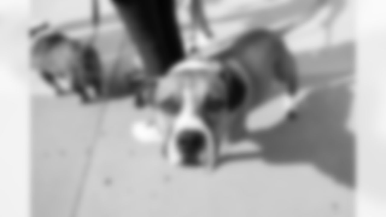 101925-Pawtriots-Tailgate_Ehle0109