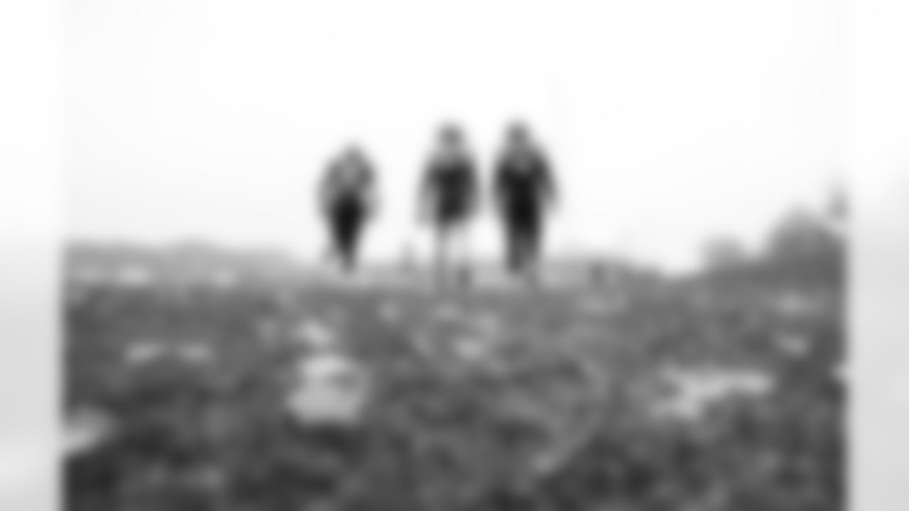 Joshua Dobbs, Mack Hollins and Jack Westover