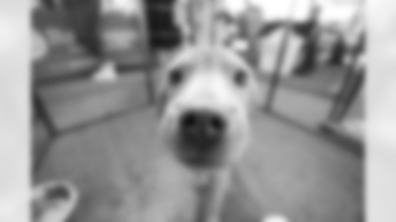 TC-072325_Silverman507