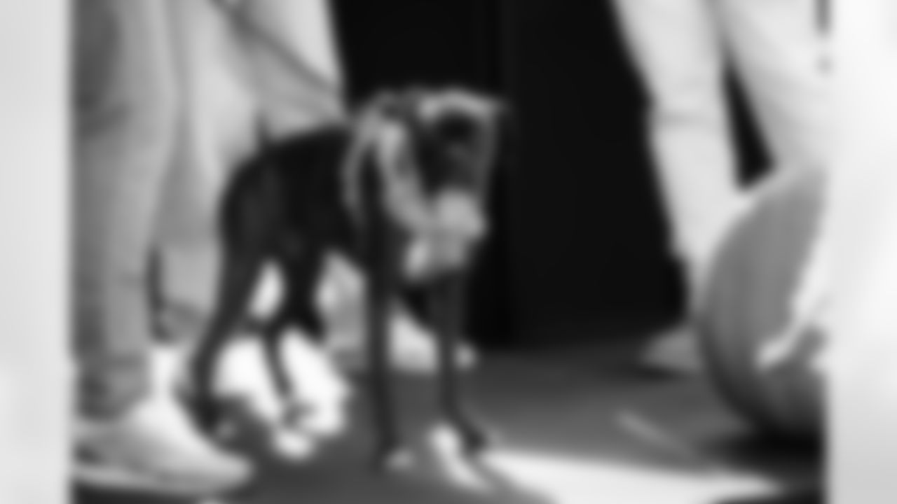 101925-Pawtriots-Tailgate_Ehle0103