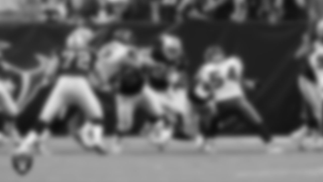 Oakland Raiders running back Darren McFadden (20) during the regular season away game against the Houston Texans at Reliant Stadium, Sunday, October 4, 2009, in Houston, Texas.