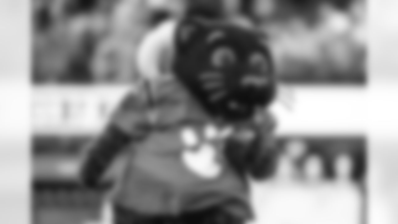 Sir Purr in the Rams House