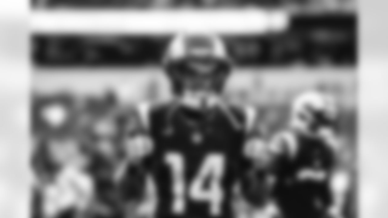 The Los Angeles Rams take on the Seattle Seahawks in week 11 of the 2025 NFL regular season.