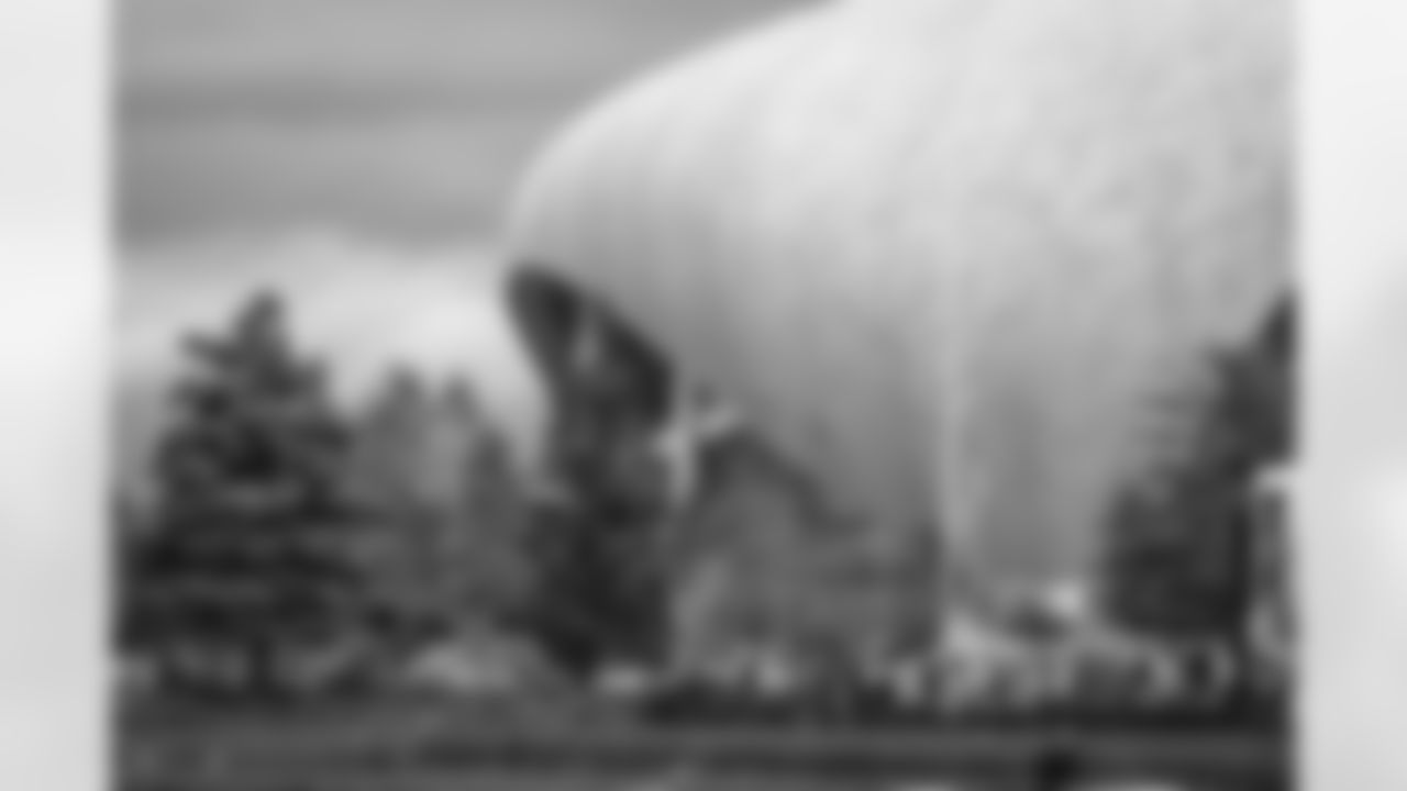 The Los Angeles Rams take on the Seattle Seahawks in week 11 of the 2025 NFL regular season.