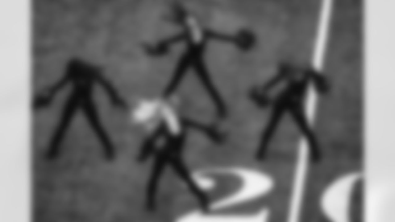 The Los Angeles Rams take on the Seattle Seahawks in week 11 of the 2025 NFL regular season.