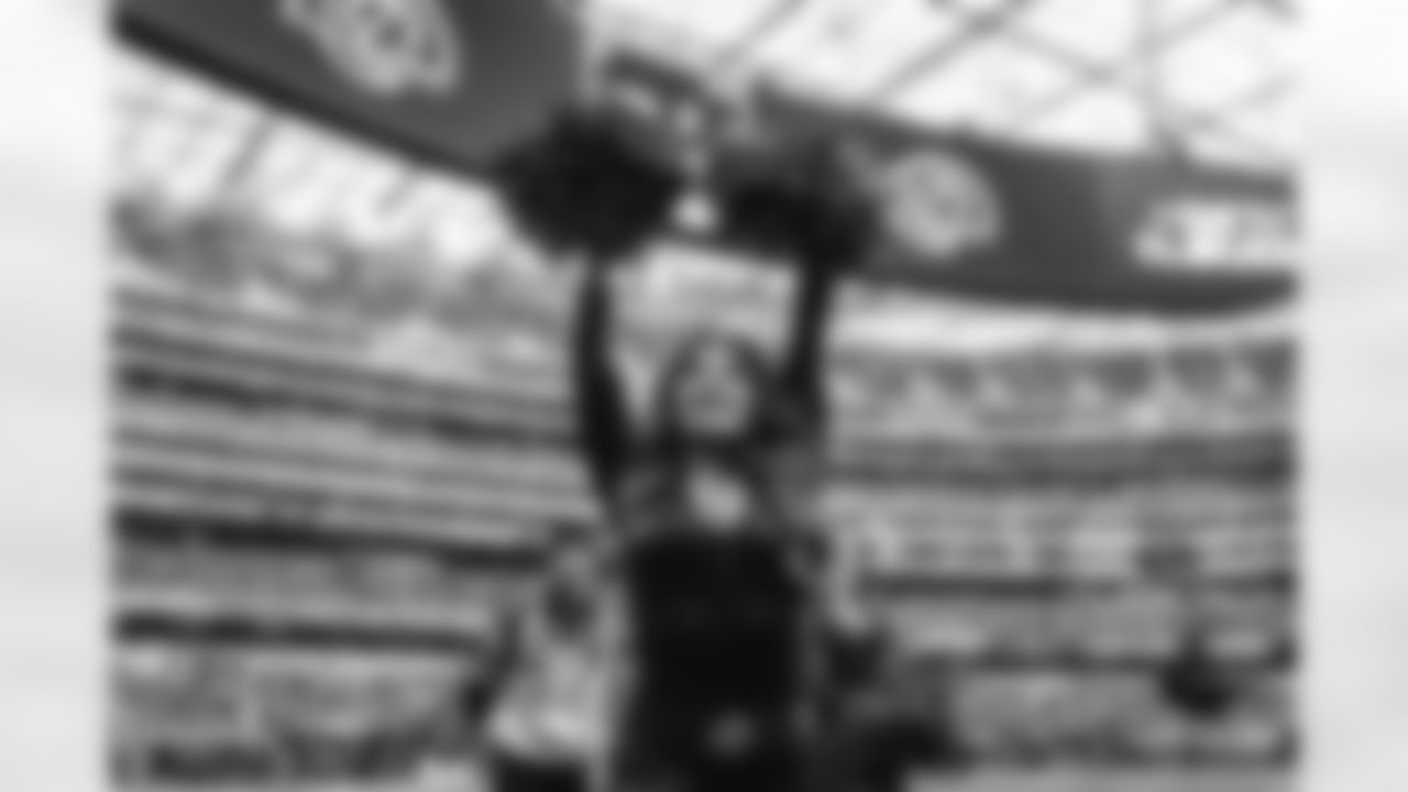 The Los Angeles Rams take on the Seattle Seahawks in week 11 of the 2025 NFL regular season.