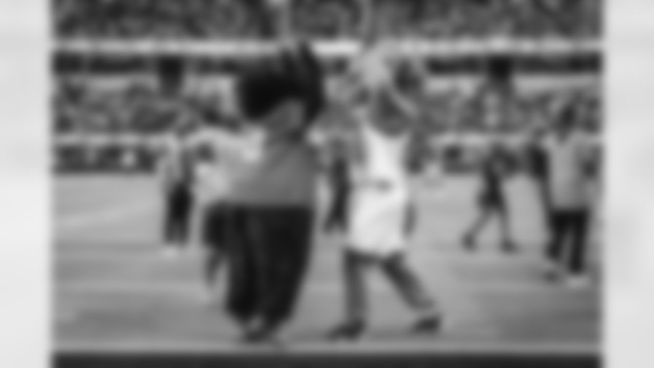 Sir Purr & Iggy the Lion in the Rams House