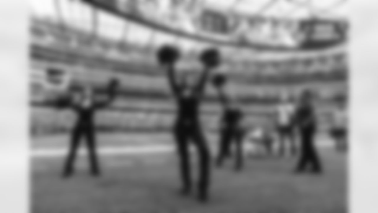 The Los Angeles Rams take on the Seattle Seahawks in week 11 of the 2025 NFL regular season.