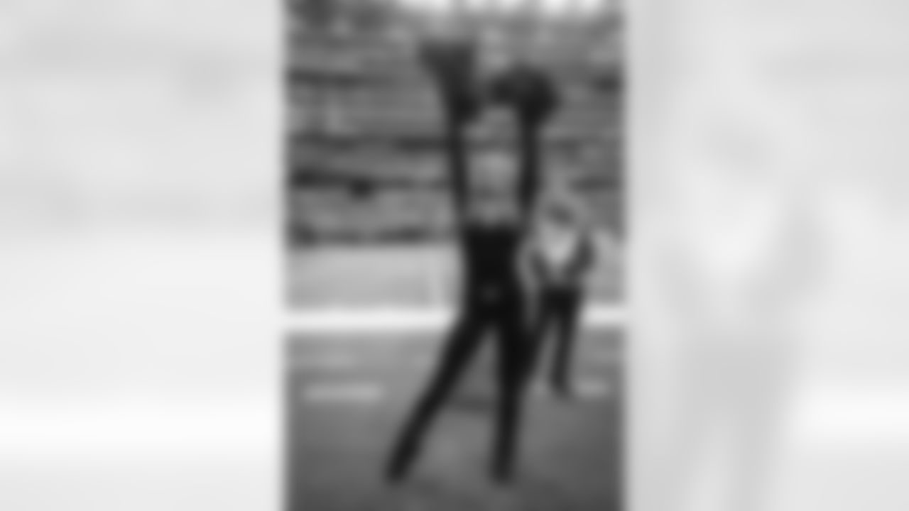 The Los Angeles Rams take on the Seattle Seahawks in week 11 of the 2025 NFL regular season.