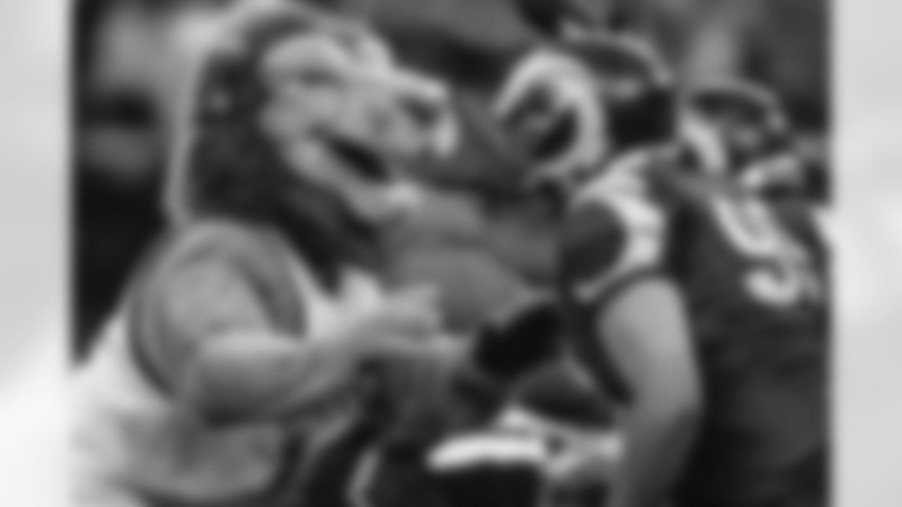 Iggy the lion in the Rams House