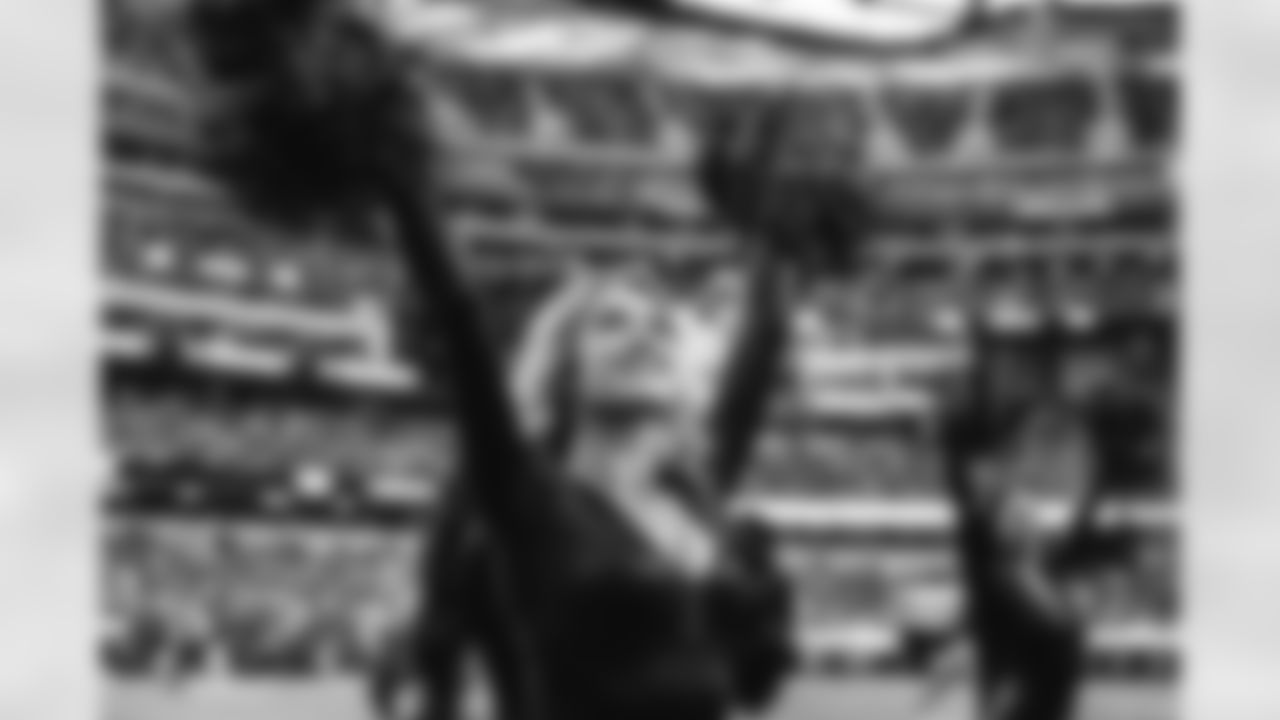 The Los Angeles Rams take on the Seattle Seahawks in week 11 of the 2025 NFL regular season.