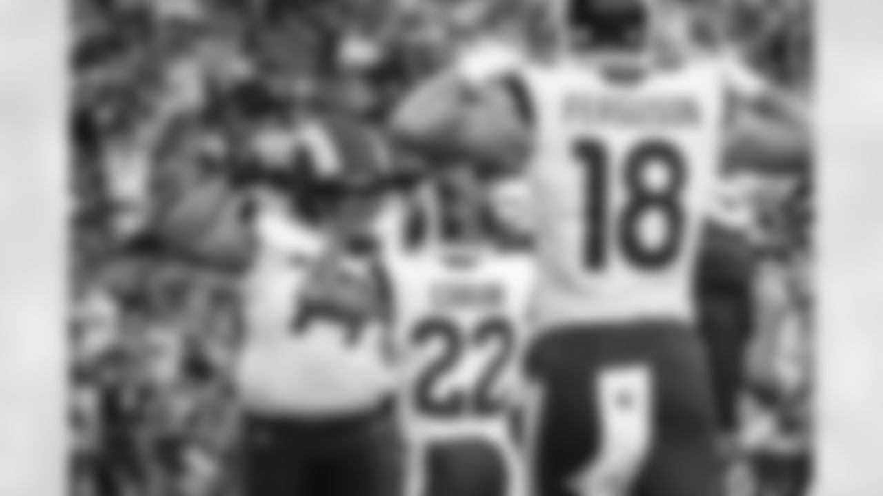 The Los Angeles Rams take on the Arizona Cardinals in week 14 of the 2025 NFL regular season.