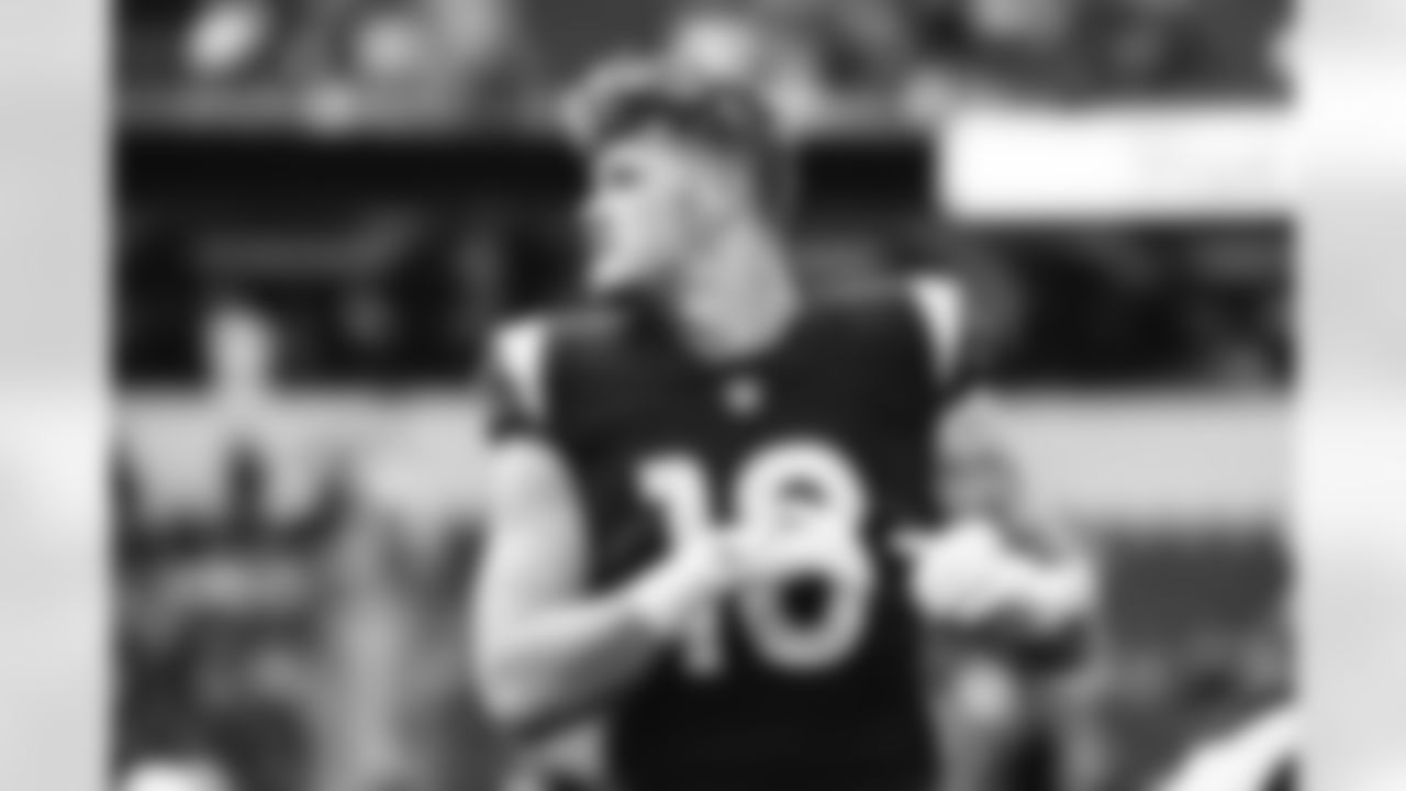 The Los Angeles Rams take on the Seattle Seahawks in week 11 of the 2025 NFL regular season.