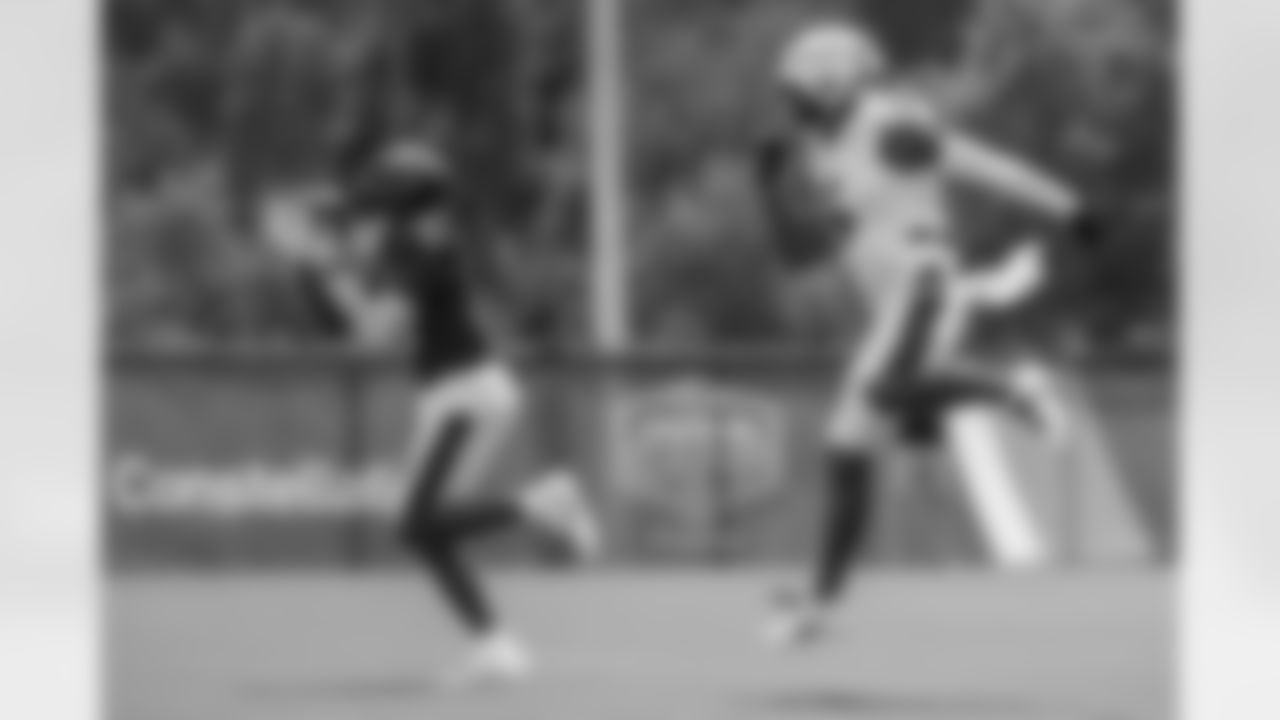 WR Nelson Agholor