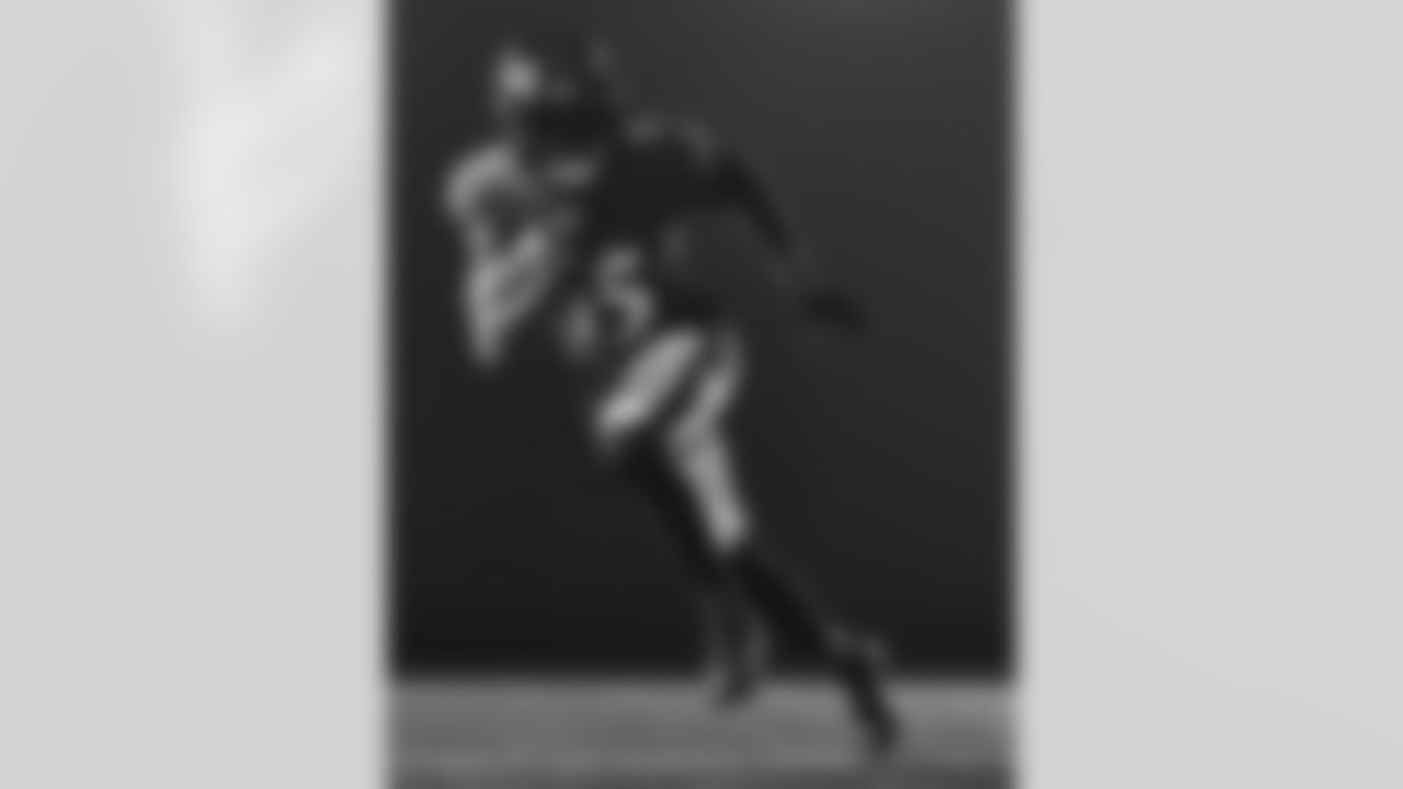WR Nelson Agholor