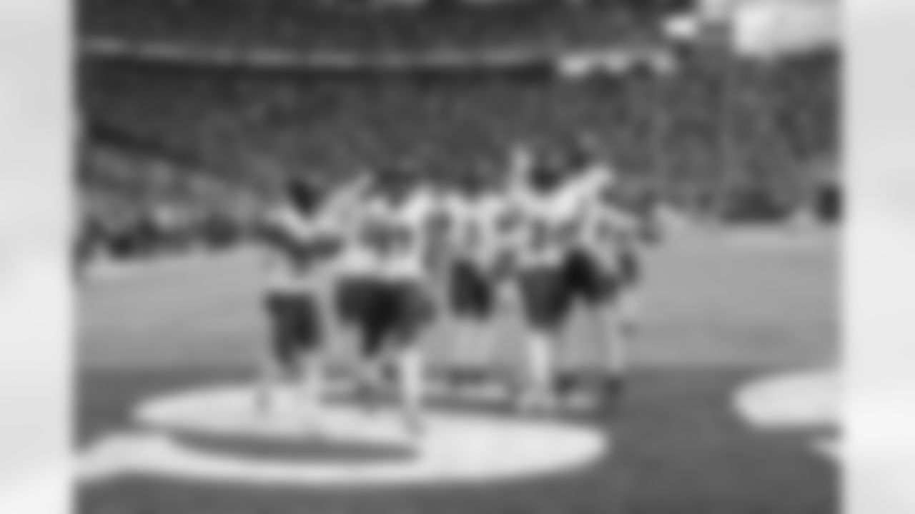 Baltimore Ravens Defense