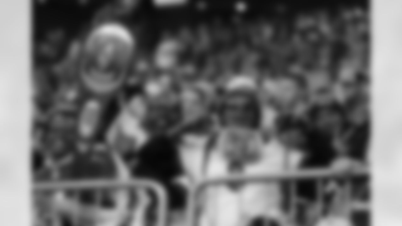 Baltimore Ravens Fans