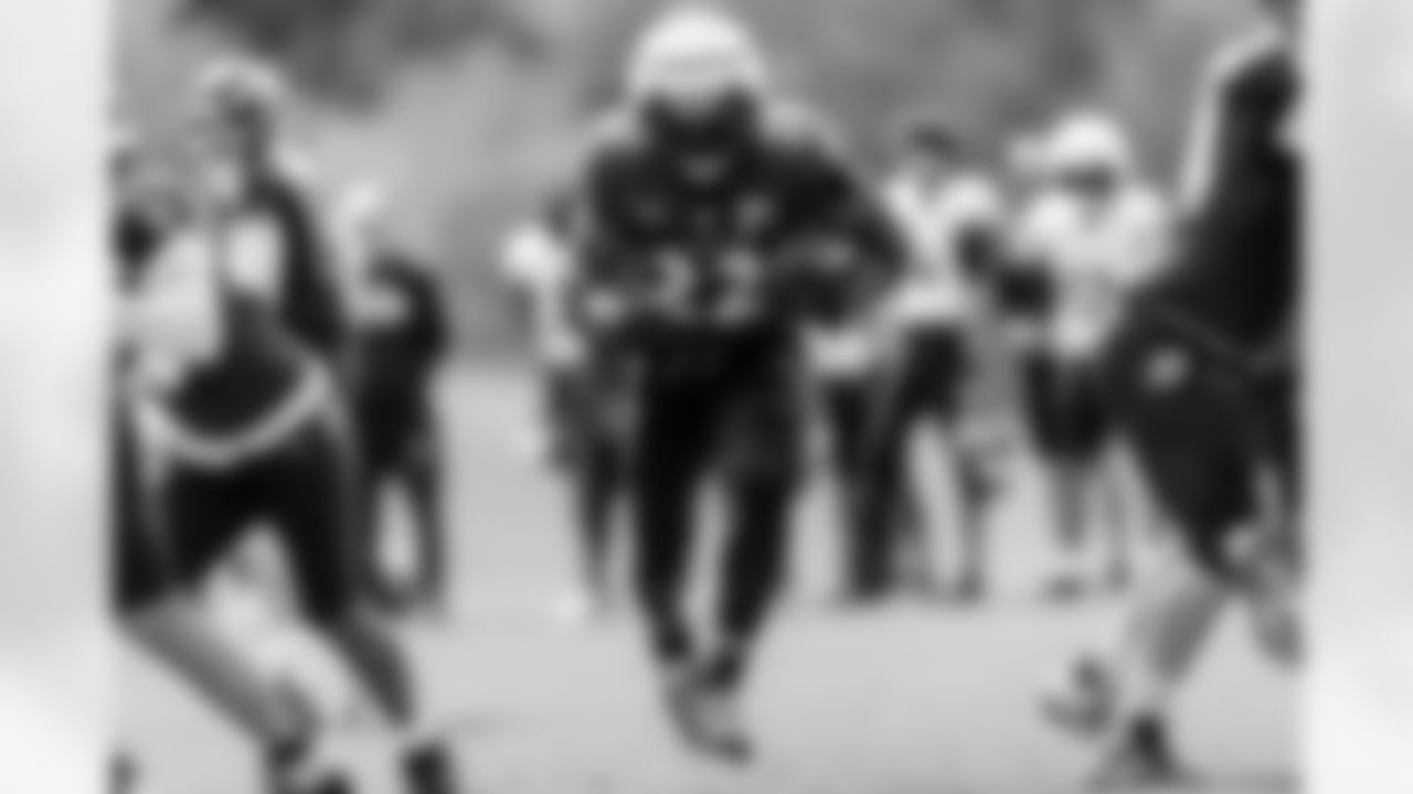 RB Derrick Henry