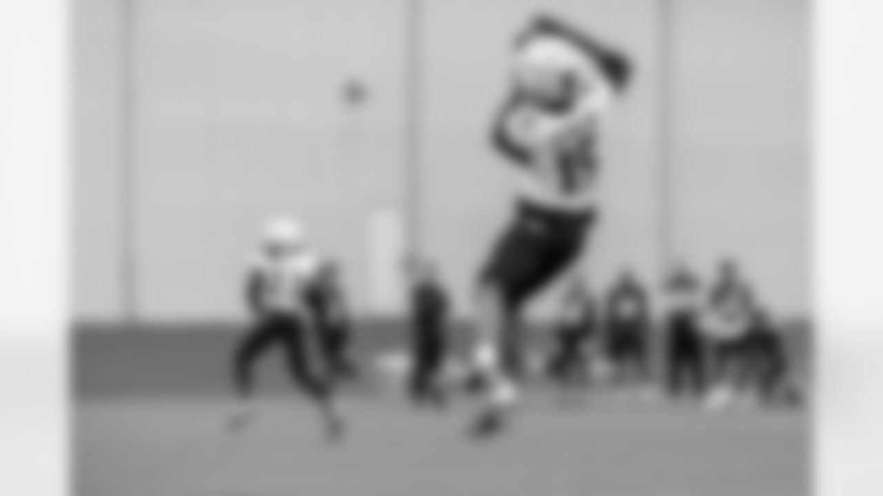 WR Nelson Agholor