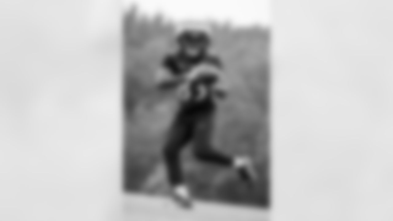 WR LaJohntay Wester