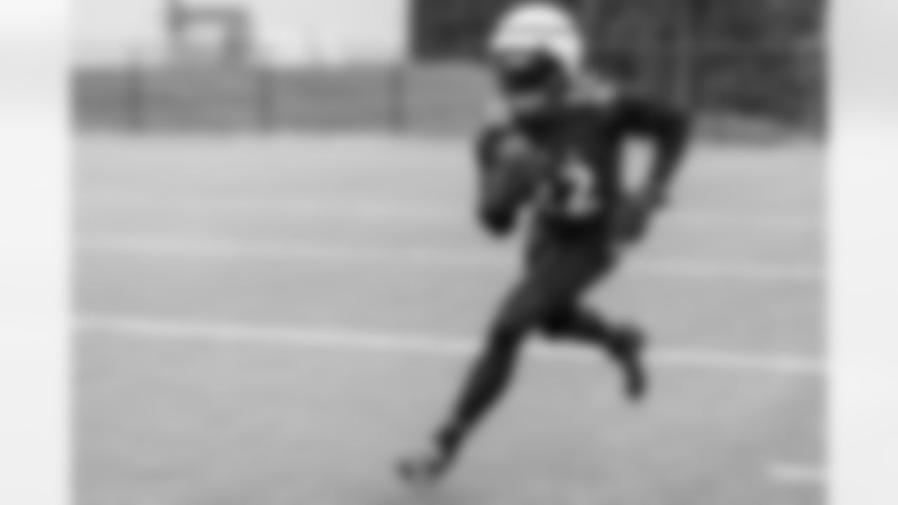RB Derrick Henry