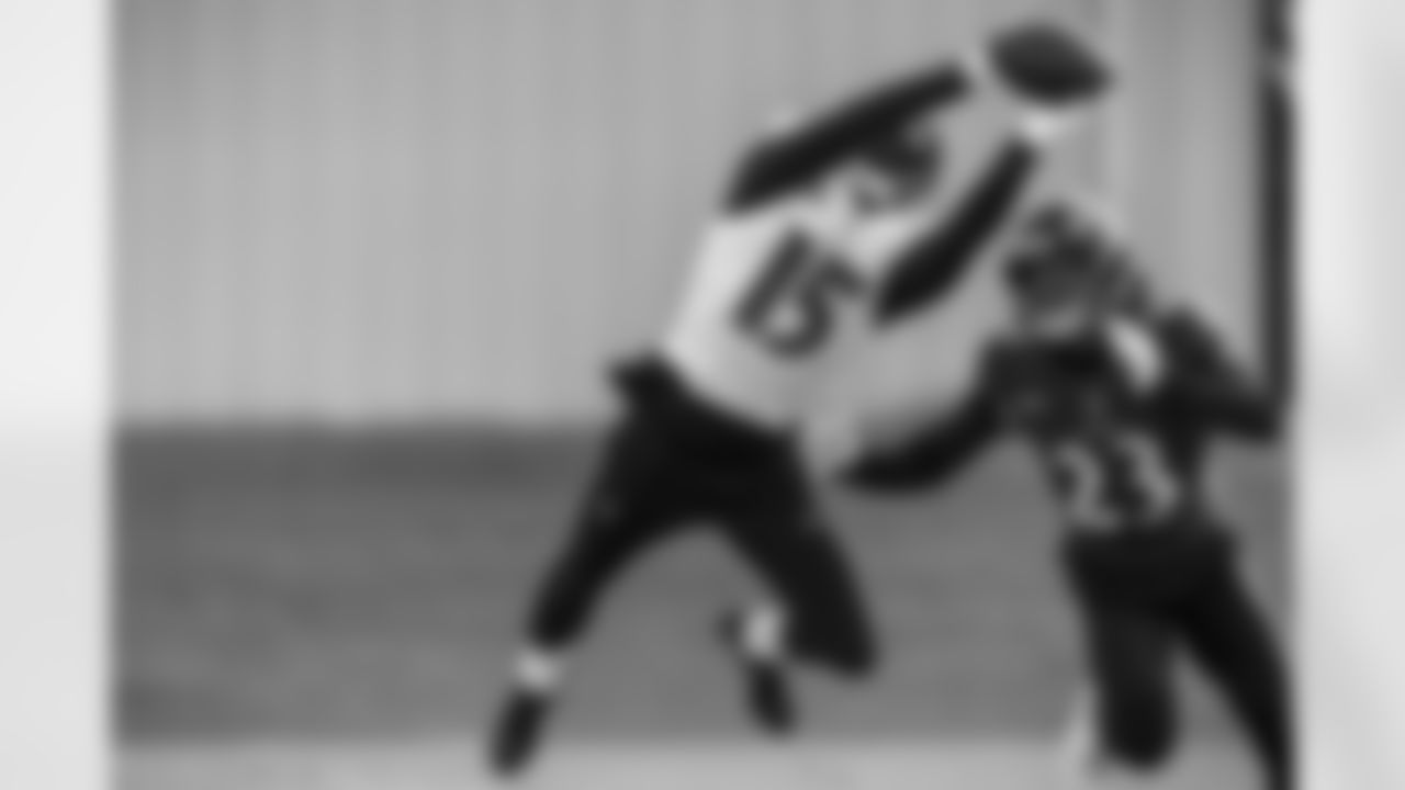 WR Nelson Agholor