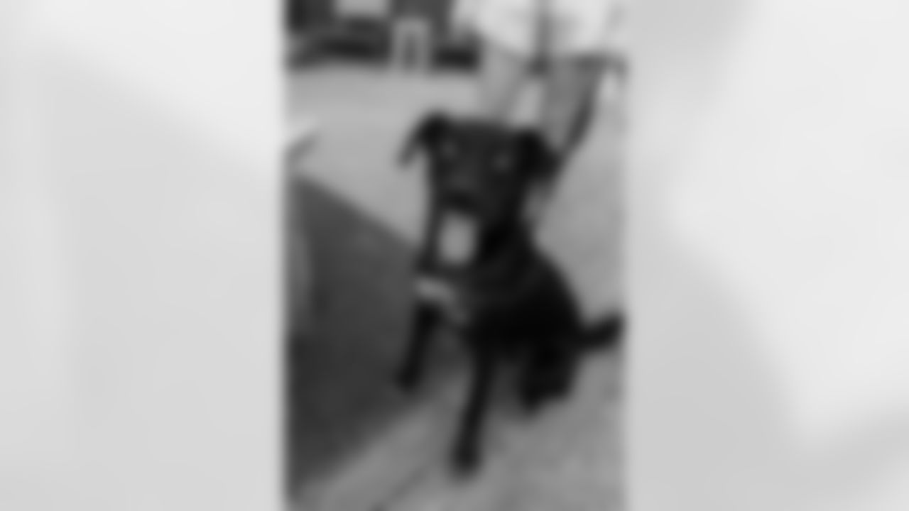 The New Orleans Saints, Raising Cane's and Abita hosted a pet adoption event at the Abita Taproom. Saints legend Devery Henderson, members of the Saints Cheer Krewe and Gumbo made an appearance while Raising Cane's gave out free chicken fingers and dog toys/souvenirs while Zeus' Rescues brought dogs looking to be adopted.