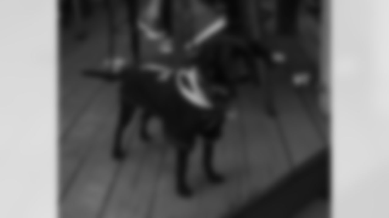 The New Orleans Saints hosted a watch party presented by Bud Light for their game against the Tennessee Titans on Dec. 28, 2025 at Bayou Beer Garden in New Orleans, Louisiana. Members of the Saints Cheer Krewe were in attendance and interacting with fans during the event.