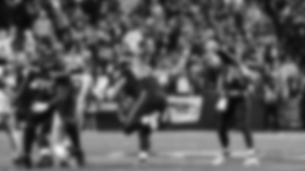 Seahawks in the Divisional Round on January 17, 2026.